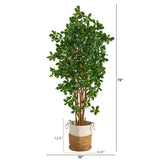 6’ Black Olive Artificial Tree in Handmade Natural Jute and Cotton Planter-Parc Decor