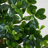 6’ Black Olive Silk Tree-Parc Decor