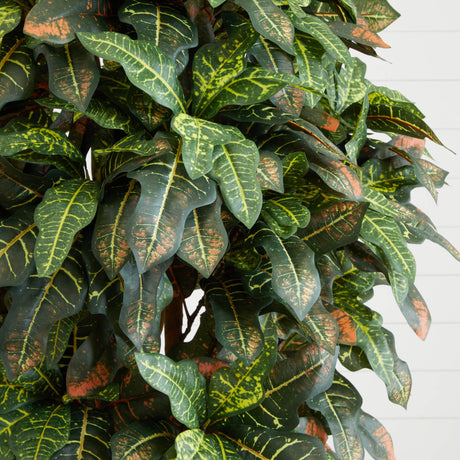 6' Croton Silk Tree-Parc Decor