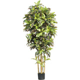 6' Croton Silk Tree-Parc Decor