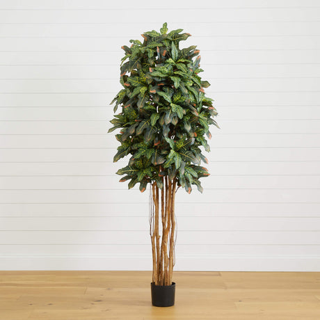 6' Croton Silk Tree-Parc Decor