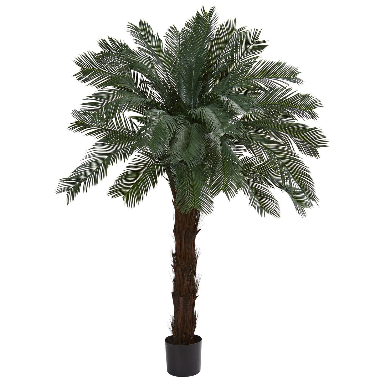 6’ Cycas Artificial Tree UV Resistant (Indoor/Outdoor)-Parc Decor