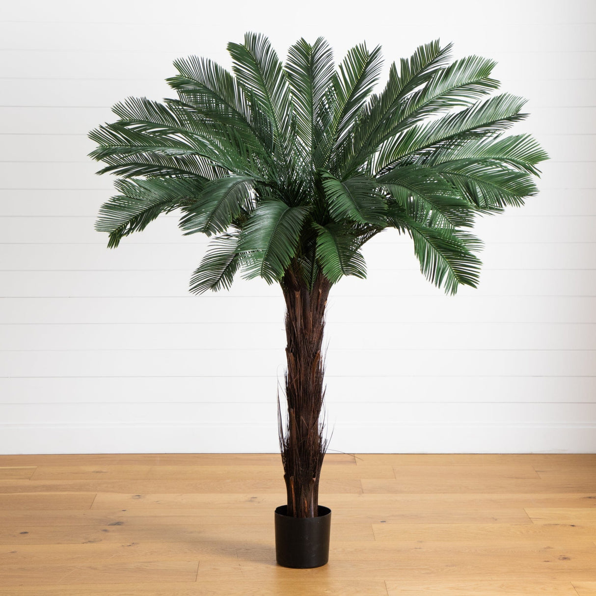 6’ Cycas Artificial Tree UV Resistant (Indoor/Outdoor)-Parc Decor