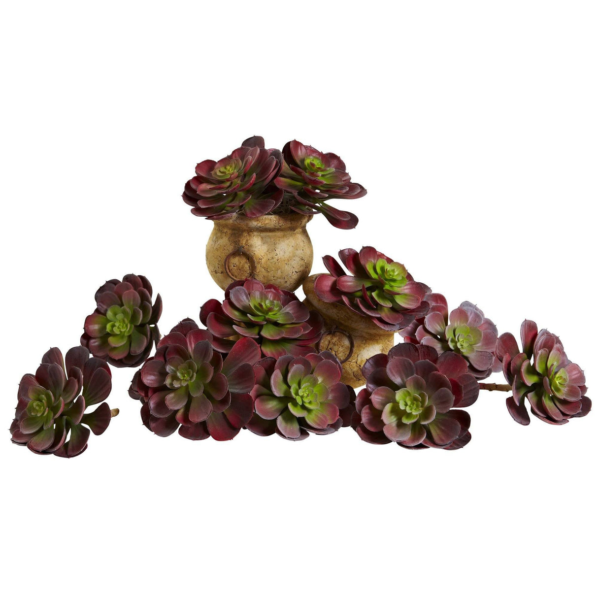 6” Echeveria Succulent (Set of 12)-Parc Decor