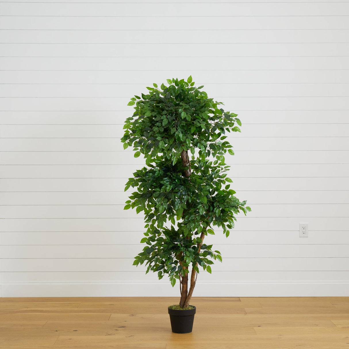 6’ Elegant Ficus Artificial Tree-Parc Decor