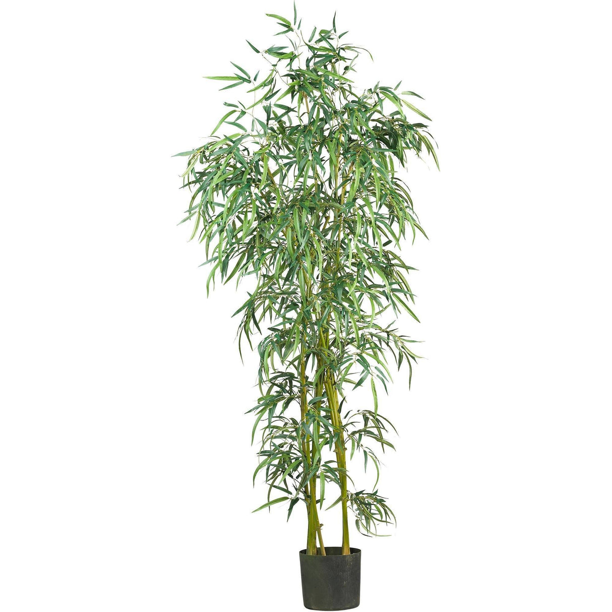 6' Fancy Style Slim Bamboo Silk Tree-Parc Decor