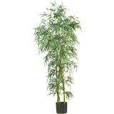 6' Fancy Style Slim Bamboo Silk Tree-Parc Decor