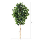 6’ Ficus Artificial Tree (No Pot)-Parc Decor