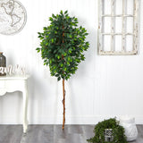 6’ Ficus Artificial Tree (No Pot)-Parc Decor