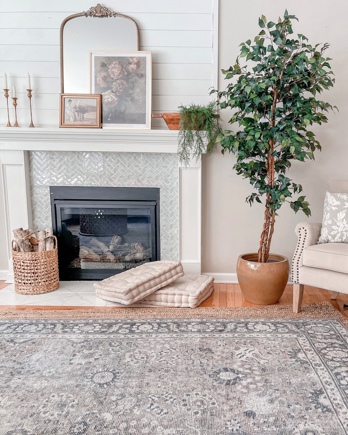 6' Ficus Silk Tree-Parc Decor