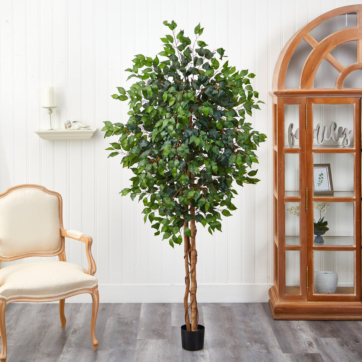 6' Ficus Silk Tree-Parc Decor