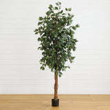 6' Ficus Silk Tree-Parc Decor