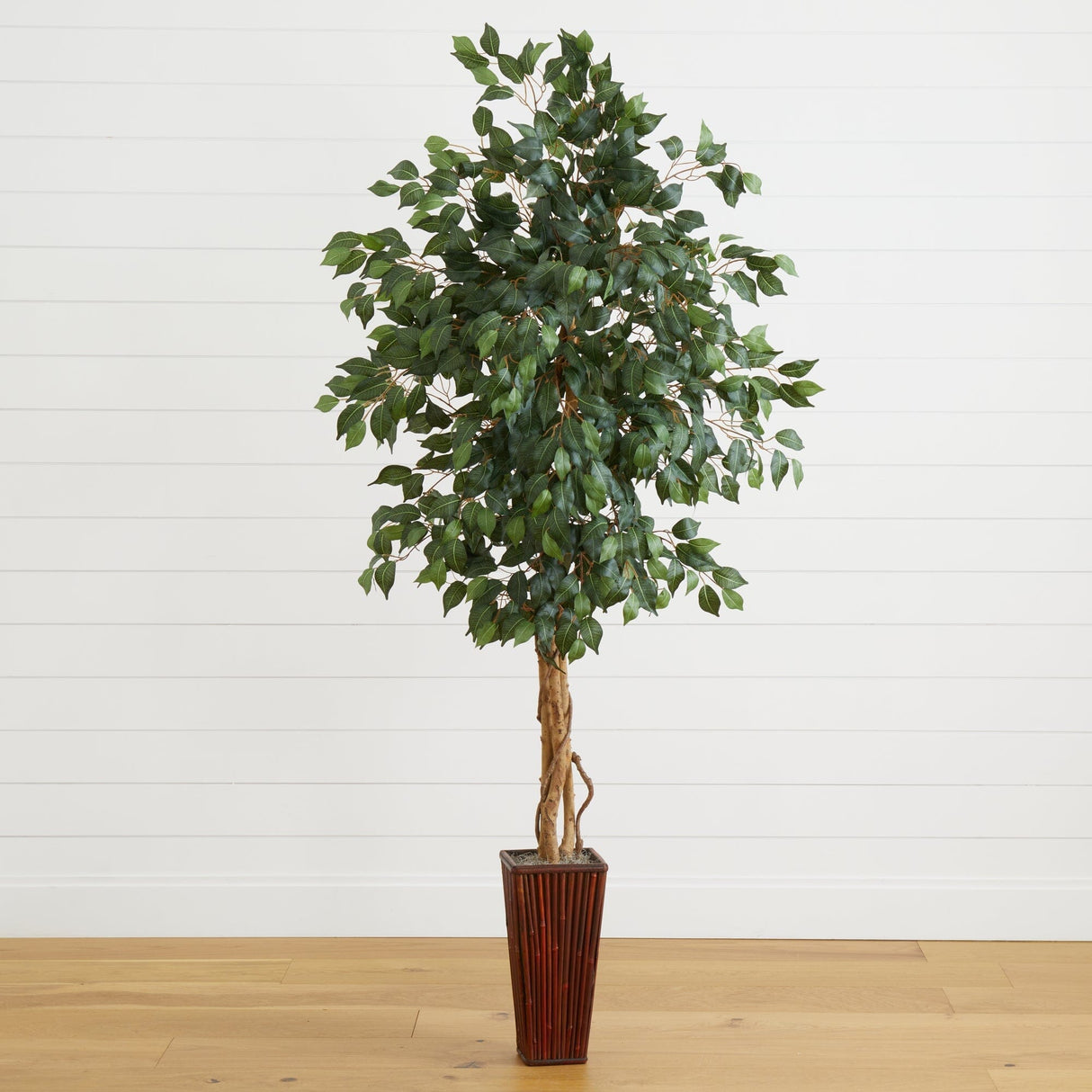 6' Ficus Tree w/Bamboo Planter-Parc Decor