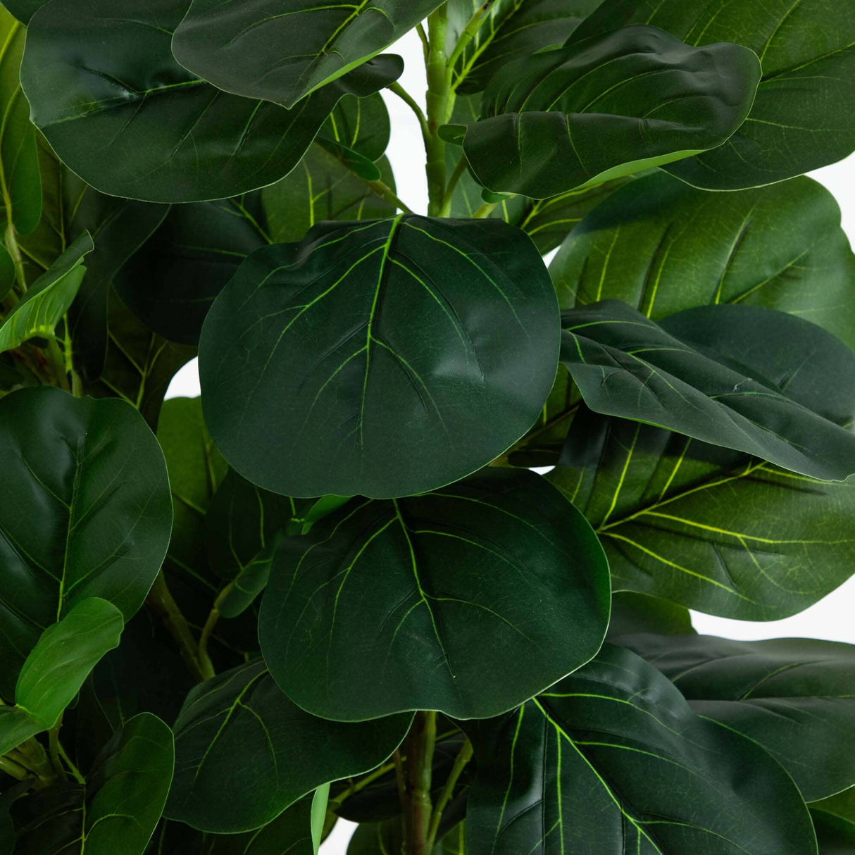 6’ Fiddle Leaf Fig Artificial Tree in Handmade Natural Jute and Cotton Planter-Parc Decor