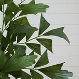 6' Fishtail Palm Tree-Parc Decor