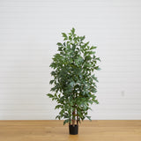 6' Fishtail Palm Tree-Parc Decor