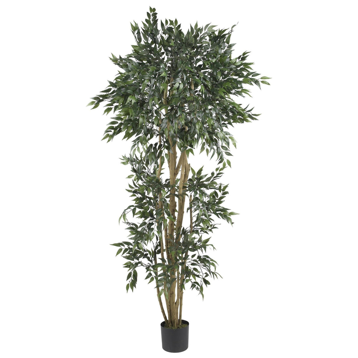 6' Green Ash Silk Tree-Parc Decor