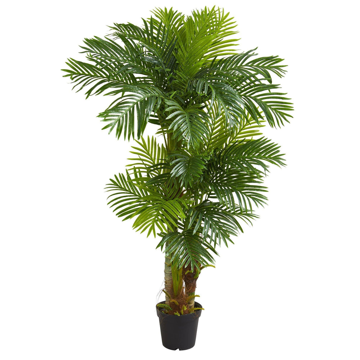 6’ Hawaii Artificial Palm-Parc Decor