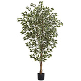6' Hawaiian Ficus Tree-Parc Decor
