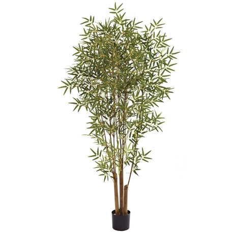 6' Japanese Bamboo Tree-Parc Decor