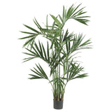 6' Kentia Palm Silk Tree-Parc Decor