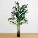 6’ Kentia Palm Tree-Parc Decor