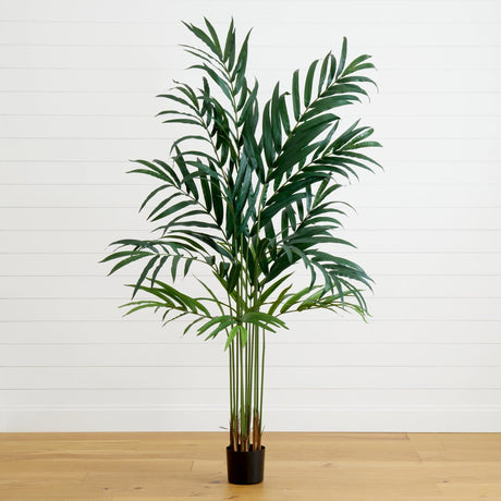 6’ Kentia Palm Tree-Parc Decor