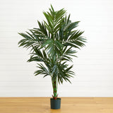 6' Kentia Silk Tree-Parc Decor