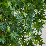 6’ Maple Artificial Tree-Parc Decor