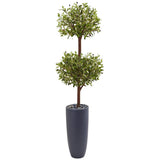 6’ Olive Double Tree in Gray Cylinder Planter-Parc Decor
