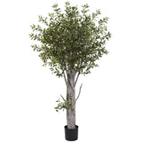 6’ Olive Tree W/3864 Lvs-Parc Decor