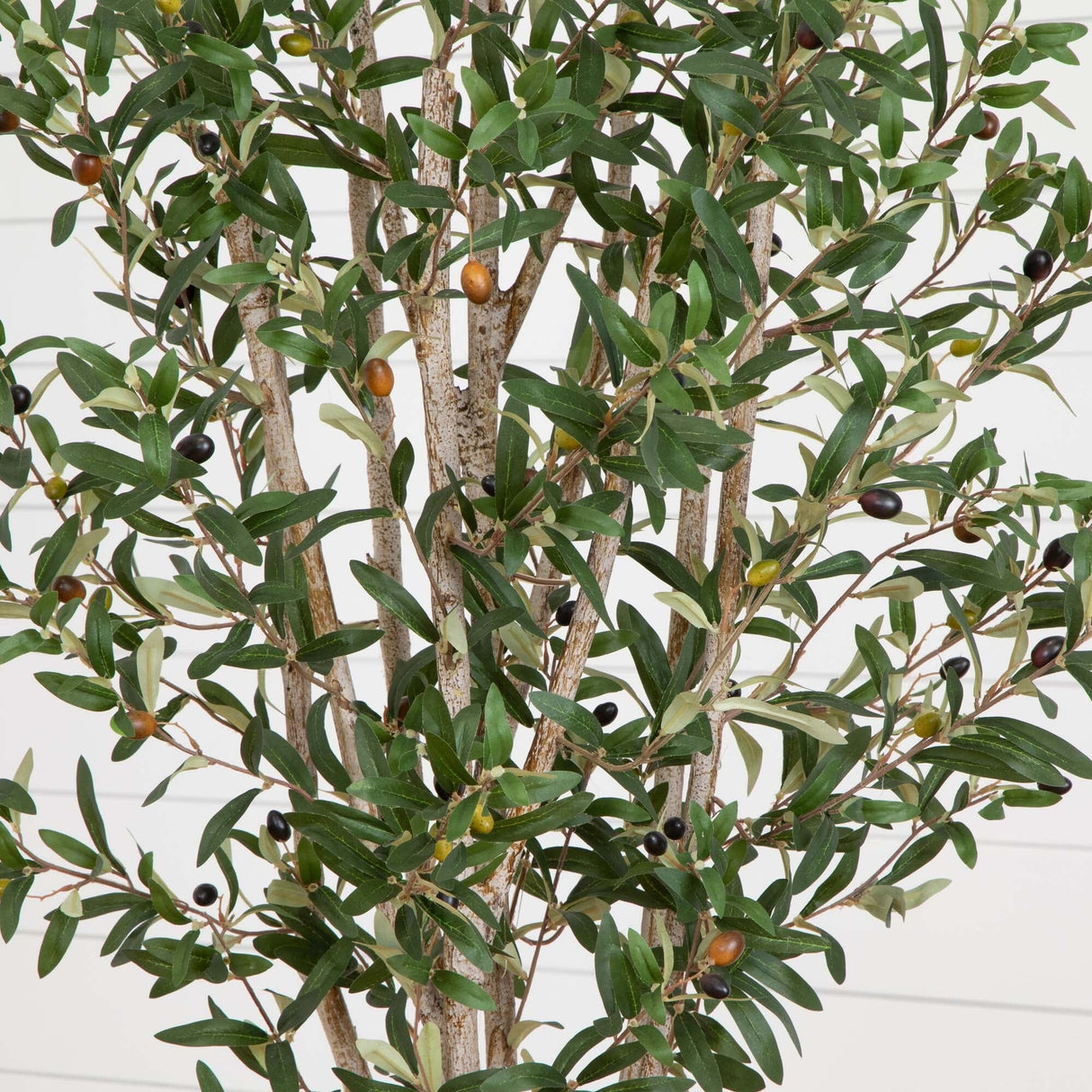 6’ Olive Tree in Stone Planter-Parc Decor