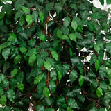 6' Palace Style Ficus Silk Tree-Parc Decor