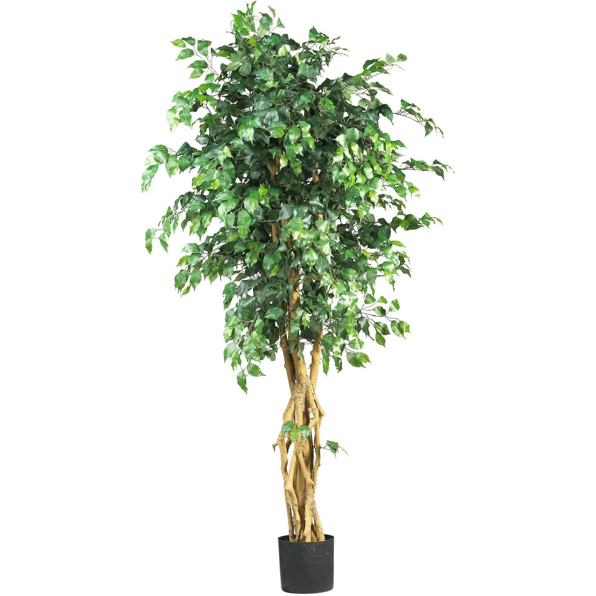 6' Palace Style Ficus Silk Tree-Parc Decor