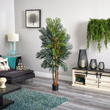6' Robellini Palm Silk Tree-Parc Decor