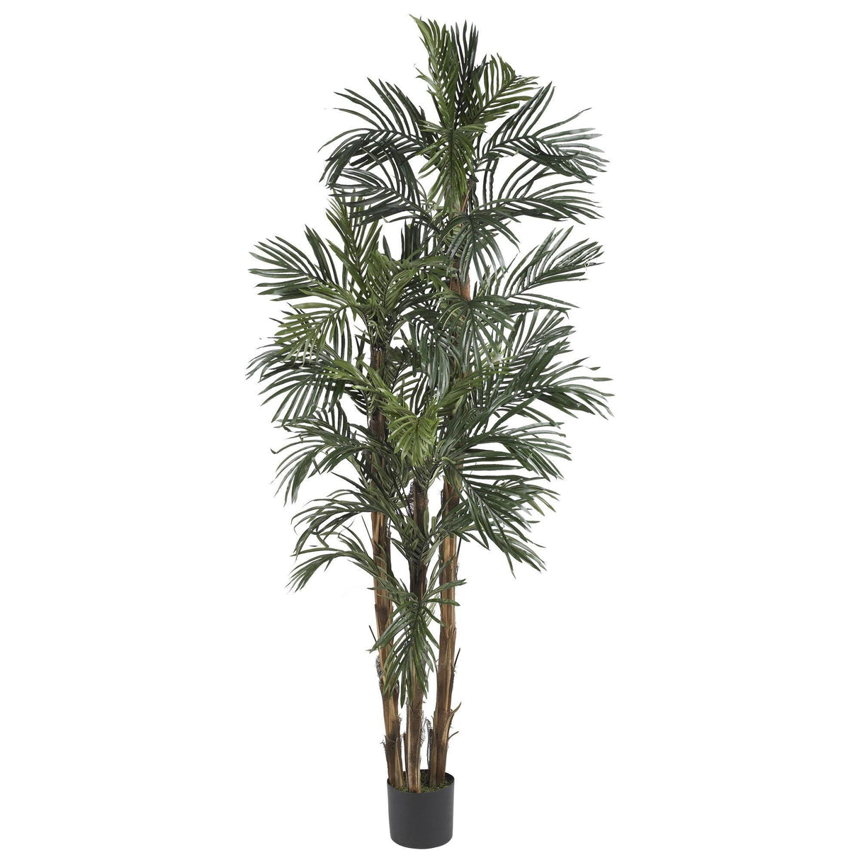 6' Robellini Palm Silk Tree-Parc Decor