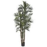 6' Robellini Palm Silk Tree-Parc Decor
