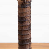 6’ Robellini Palm Tree-Parc Decor