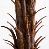 6’ Robellini Palm Tree-Parc Decor