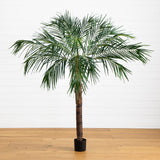 6’ Robellini Palm Tree-Parc Decor