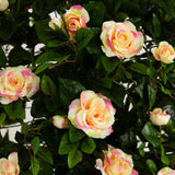 6’ Rose Artificial Tree with Woven Trunk-Parc Decor