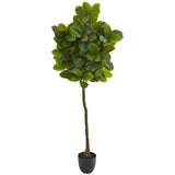 6’ Rubber Leaf Artificial Tree (Real Touch)-Parc Decor