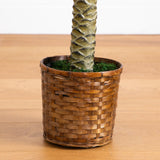 6' Sago Palm Silk Tree-Parc Decor