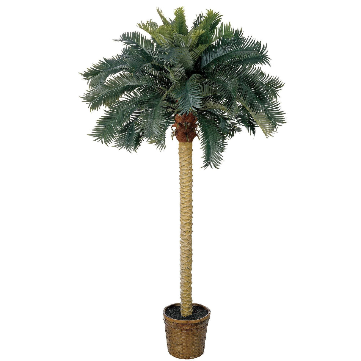 6' Sago Palm Silk Tree-Parc Decor