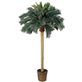 6' Sago Palm Silk Tree-Parc Decor