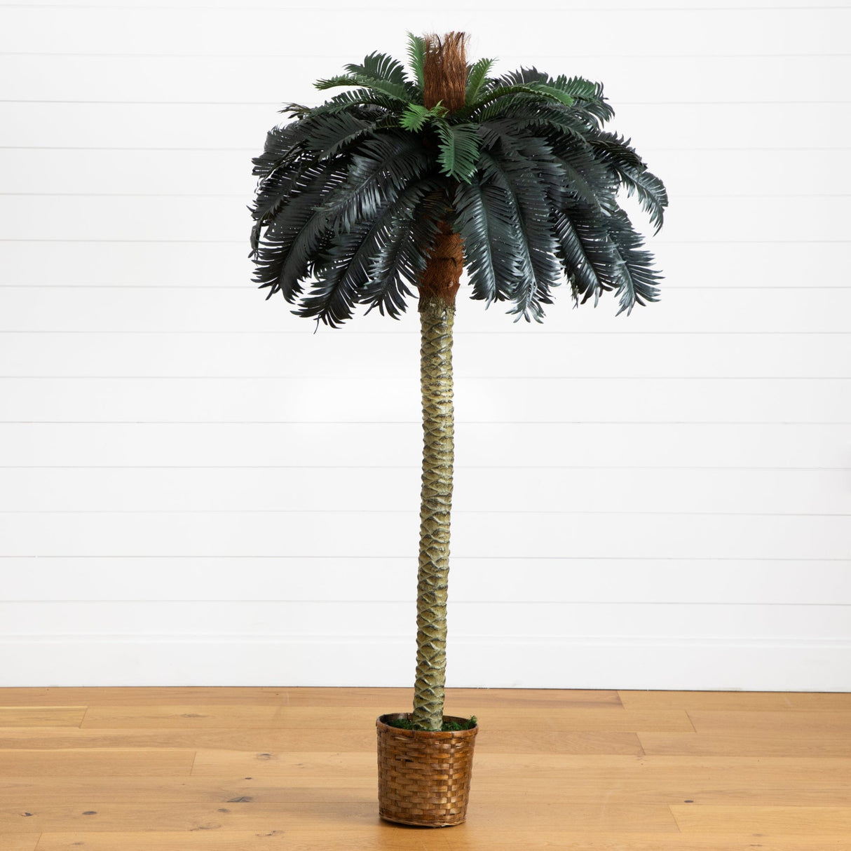 6' Sago Palm Silk Tree-Parc Decor