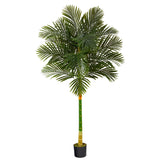 6’ Single Stalk Golden Cane Artificial Palm Tree-Parc Decor