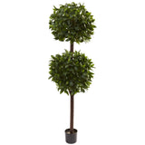 6’ Sweet Bay Double Ball Topiary-Parc Decor