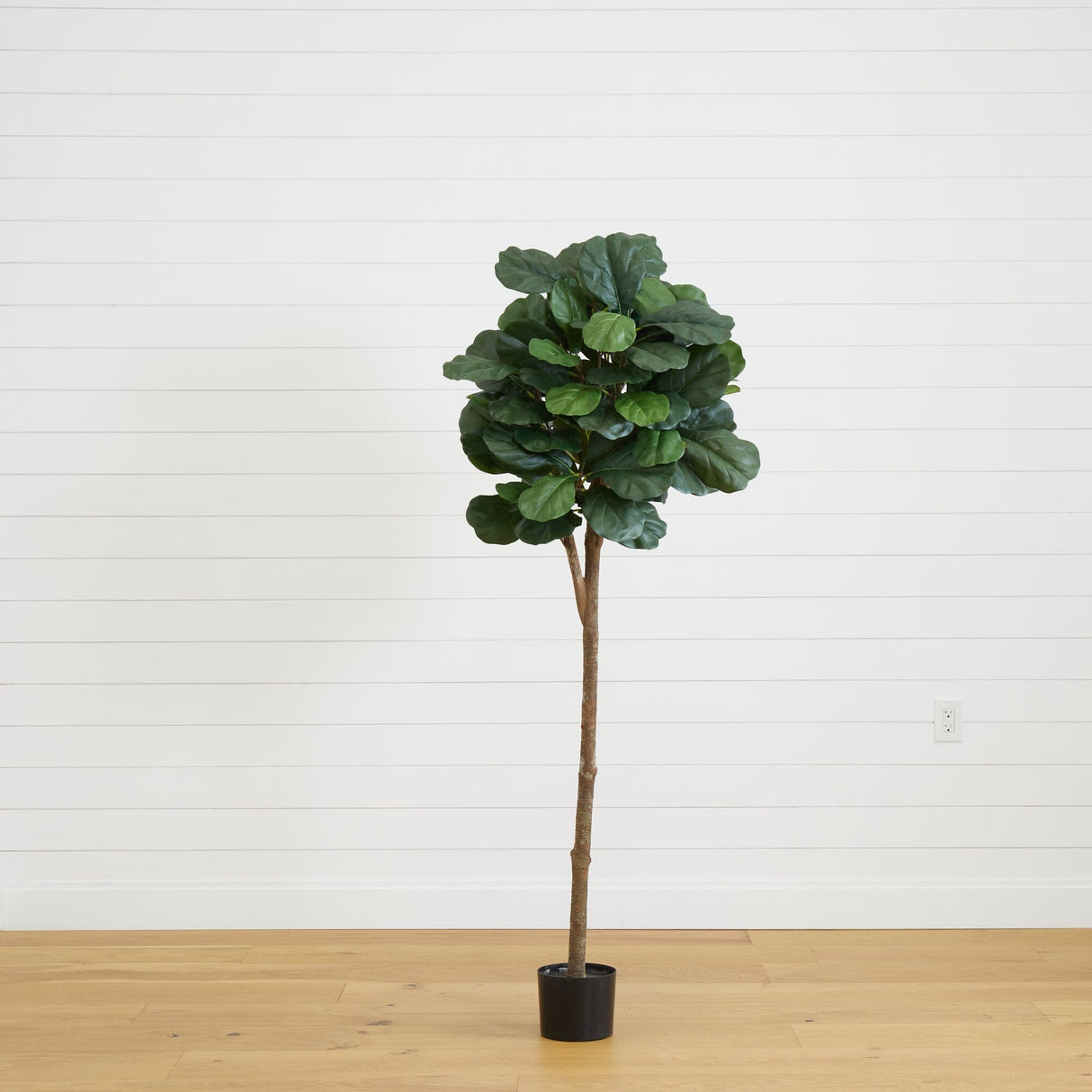 6’ Tall Fiddle Leaf Fig Artificial Tree-Parc Decor