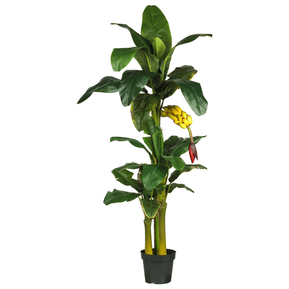 6' Triple Stalk Banana Silk Tree-Parc Decor
